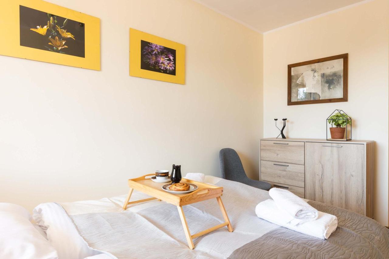 Apartament Cztery Tulipany زاكوباني المظهر الخارجي الصورة