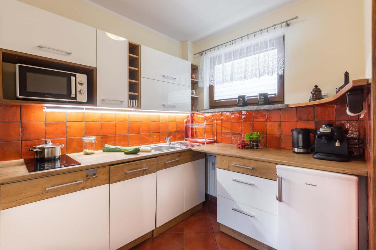 Apartament Cztery Tulipany زاكوباني المظهر الخارجي الصورة